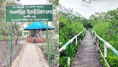 কলাগাছিয়া ইকো ট্যুরিজম পার্ক | Kalagachia Eco Tourism Park