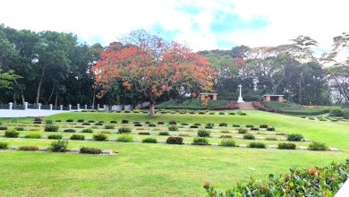 ময়নামতি ওয়ার সিমেট্রি