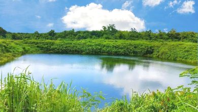 শমসের গাজীর দিঘী