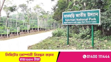 সাতছড়ি জাতীয় উদ্যান | Satchari National Park