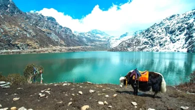 সিকিম ভ্রমণ (Sikkim Tour)