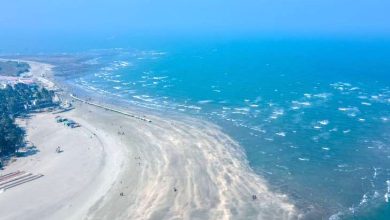 সেন্টমার্টিন