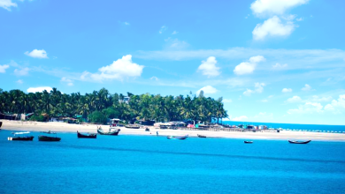 সেন্টমার্টিন