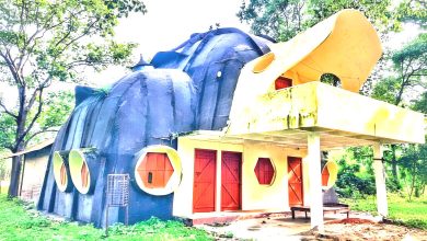 হাতির-বাংলো | Elephant-Bungalow