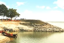 টি-বাঁধ,রাজশাহী