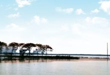 ডিঙ্গাপোতা হাওর