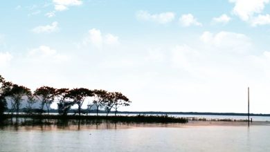 ডিঙ্গাপোতা হাওর