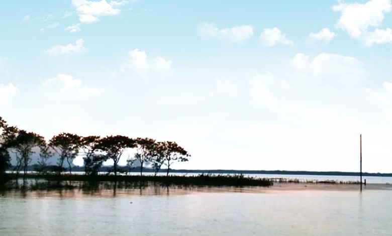 ডিঙ্গাপোতা হাওর