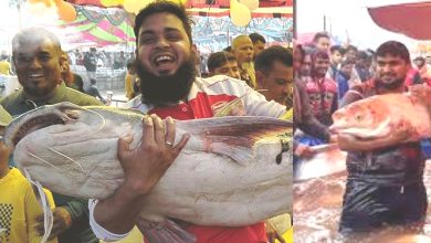 পোড়াদহ মেলা