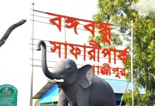 বঙ্গবন্ধু সাফারি পার্ক