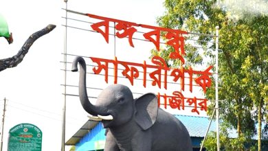 বঙ্গবন্ধু সাফারি পার্ক