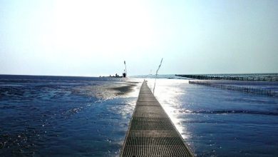 বাঁশবাড়িয়া সমুদ্র সৈকত